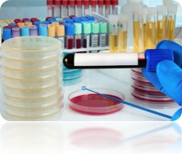 Tests Applicable to a Wide Range of Biological Samples.